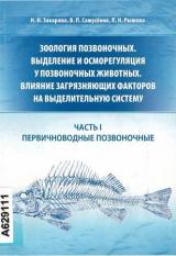 Зоология позвоночных. Выделение и осморегуляция у позвоночных животных. Влияние загрязняющих факторов на выделительную систему