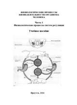 Физиологические процессы жизнедеятельности организма человека. Ч. 1. Физиологические процессы систем регуляции