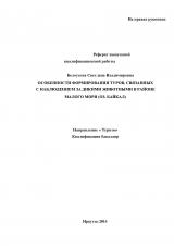 Особенности формирования туров, связанных с наблюдением за дикими животными в районе Малого моря (оз. Байкал)