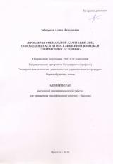 Проблемы социальной адаптации лиц, освободившихся из мест лишения свободы, в современных условиях