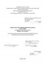 Организация и фунционирование коммерческого предприятия на региональном рынке