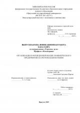 Организация и функционирование коммерческого предприятия на региональном рынке