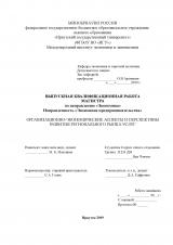 Организационно-экономические аспекты и перспективы развития регионального рынка услуг