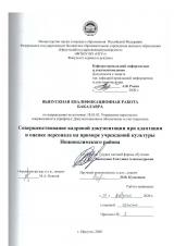 Совершенствование кадровой документации при адаптации и оценке персонала на примере учреждений культуры Нижнеилимского района