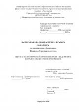 Оценка экономической эффективности предприятия на рынке общественного питания