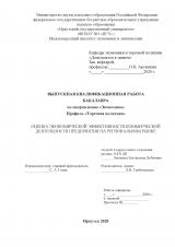 Оценка экономической эффективности коммерческой деятельности предприятия на региональном рынке