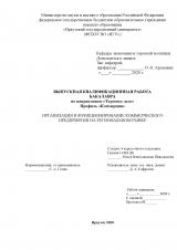 рганизация и функционирование коммерческого предприятия на региональном рынке