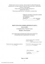 Организация коммерческой деятельности предприятия розничной торговли