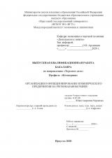 Организация и функционирование коммерческого предприятия на региональном рынке