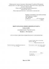 Стратегия развития коммерческого предприятия