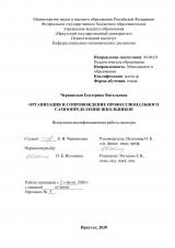 Организация и сопровождение профессионального самоопределения школьников
