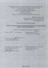 Психологические особенности подростков с высоким уровнем перфекционизма