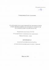 Реализация государственной политики в сфере социальной защиты населения в субъекте РФ (на примере Иркутской области)