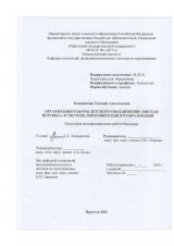 Организация работы детского объединения "Мягкая игрушка" в системе дополнительного образования