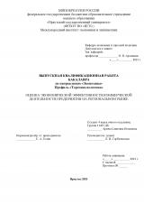 Оценка экономической эффективности коммерческой деятельности предприятия на региональном рынке