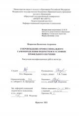 Сопровождение профессионального самоопределения подростков в условиях профильного обучения
