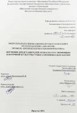 Изучение представителей Tetracoccus с помощью клеточной культуры губки Lubomirskia baicalensis