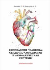 Физиология человека: сердечно-сосудистая и лимфатическая системы