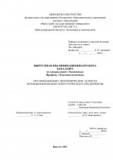 Организационно-экономические аспекты функционирования энергетического предприятия