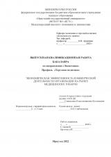 Экономическая эффективность коммерческой деятельности организации на рынке медицинских товаров