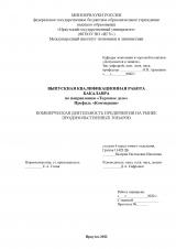 Коммерческая деятельность предприятия на рынке продовольственных товаров