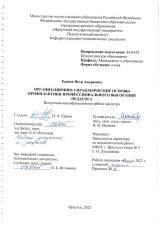 Организационно-управленческие основы профилактики профессионального выгорания педагога