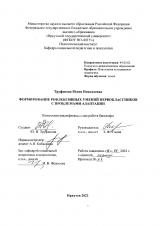 Формирование рефлексивных умений первоклассников с проблемами адаптации