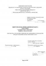 Разработка стратегии развития организации и технологии предоставления логистических услуг