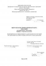 Экономическая эффективность деятельности торговой организации на рынке климатического оборудования