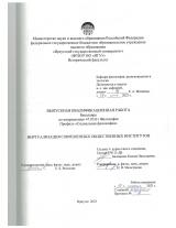 Виртуализация современных общественных институтов