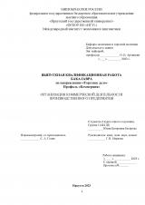 Организация коммерческой деятельности производственного предприятия
