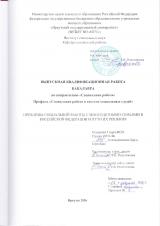 Проблемы социальной работы с многодетными семьями в Российской Федерации и пути их решения