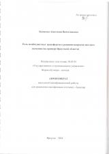 Роль межбюджетных трансфертов в решении вопросов местного значения (на примере Иркутской области)