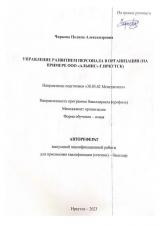 Управление развитием персонала в организации (на примере ООО "Альянс" г. Иркутск)