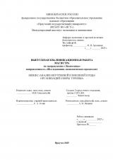 Бизнес-анализ внутренней и внешней среды организаций сферы туризма