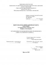 Организация и функционирование предприятия в сфере гостиничного бизнеса