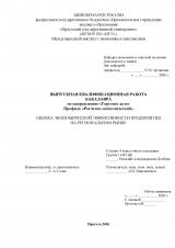 Оценка экономической эффективности предприятия на региональном рынке
