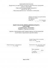 Оценка экономической эффективности предприятия спортивно-оздоровительной сферы : ВКР бакалавра