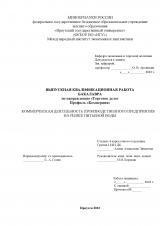 Коммерческая деятельность производственного предприятия на рынке питьевой воды