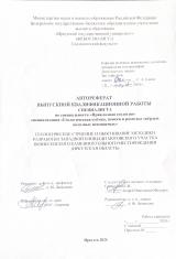 Геологическое строение и обоснование методики разработки Западной площади Мотовского участка Вознесенского каменноугольного месторождения (Иркутская область)