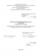 Экономическая эффективность транснационального предприятия в сфере бытовой техники
