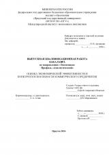 Оценка экономической эффективности и конкурентоспособности коммерческого предприятия