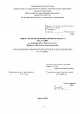 Организация коммерческой деятельности предприятия на IT-рынке