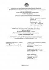 Разработка стратегии продвижения сервисного предприятия в социальных сетях