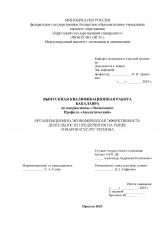 Организационно-экономическая эффективность деятельности предприятия на рынке товаров и услуг региона