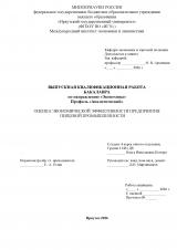 Оценка экономической эффективности предприятия пищевой промышленности