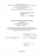 Организация коммерческой деятельности оптово-розничного предприятия на рынке автомобильных шин и сопутствующих товаров и услуг