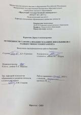 Особенности самореализации младших школьников с разным типом темперамента