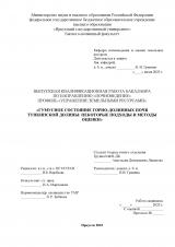 Гумусное состояние горно-долинных почв Тункинской долины: некоторые подходы и методы оценки