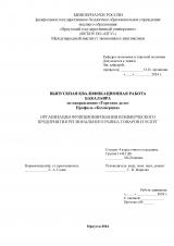 Организация функционирования коммерческого предприятия регионального рынка товаров и услуг